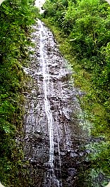 Manoa Falls