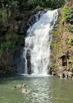 Waimea-Falls-Swimming