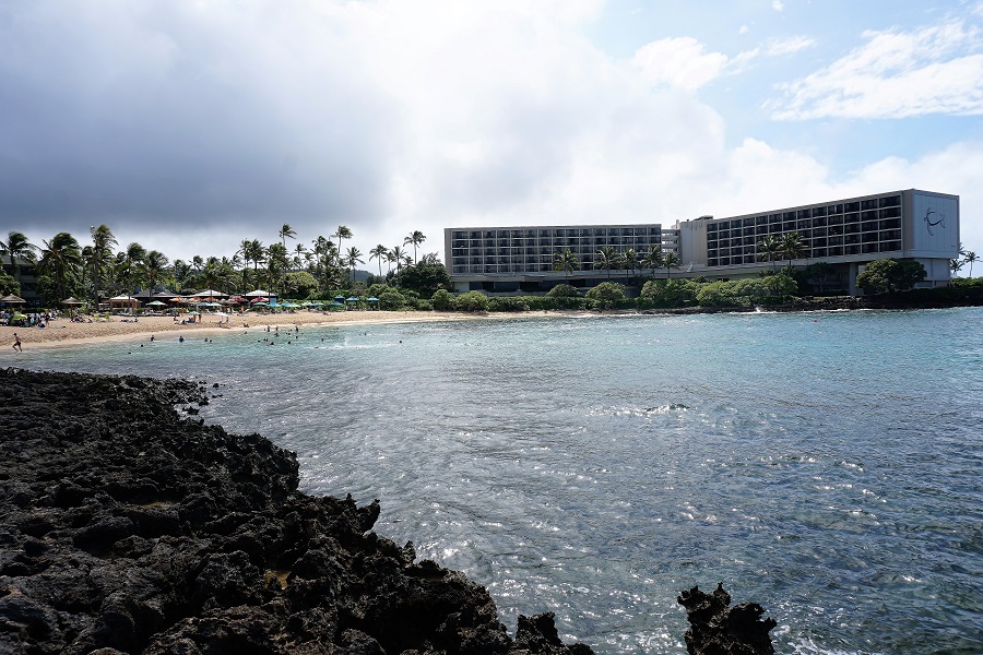 Discover Turtle Bay Resort