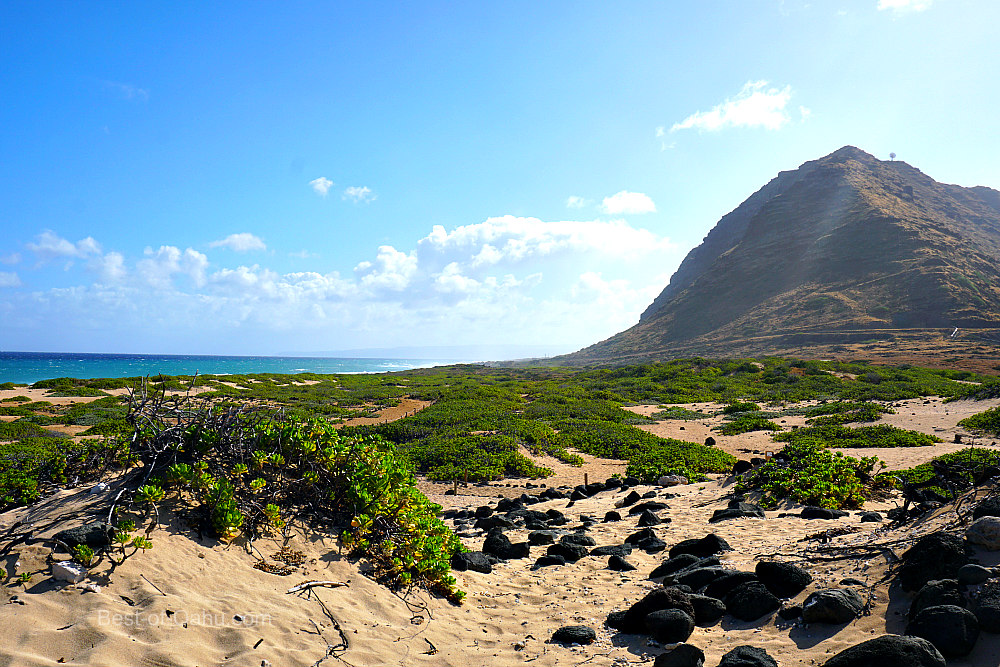 Kaena Point Trail Hiking the Coast