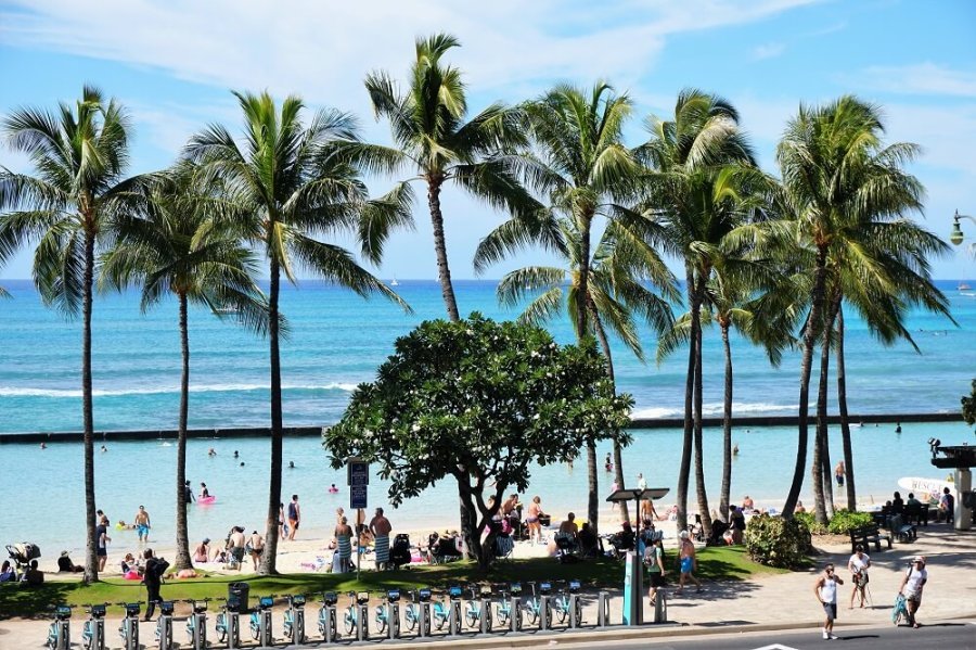 Waikiki Beach 8 Beach Sections