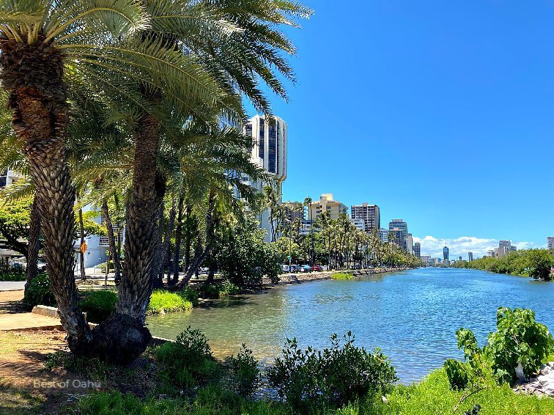 The Ala Wai Canal is a man-made waterway that runs through the heart of Waikiki, offering a scenic pathway for jogging, walking, and enjoying views of the city skyline and nearby mountains. 🌊🏞️