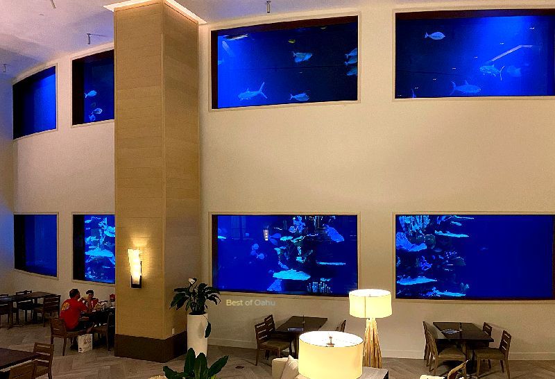 Alohilani Resort is a contemporary and stylish oceanfront hotel in Waikiki, offering modern accommodations, immersive Hawaiian cultural experiences, and breathtaking views of the Pacific Ocean and Diamond Head.