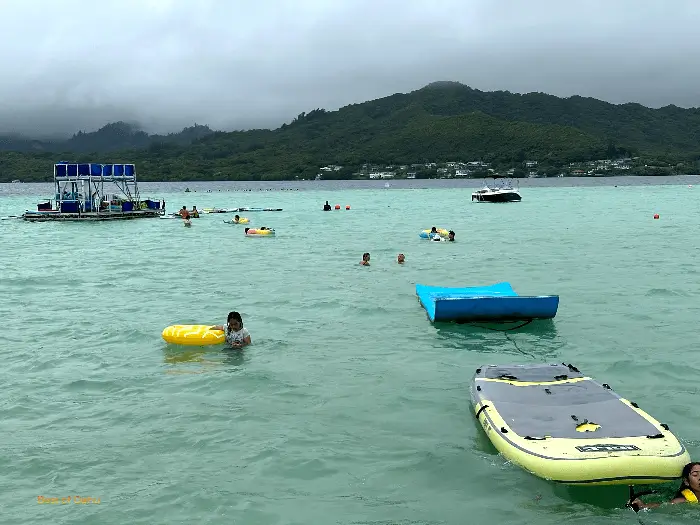 Captain Bruce Sandbar Water Toys Captain Bruce Sandbar Water Toys