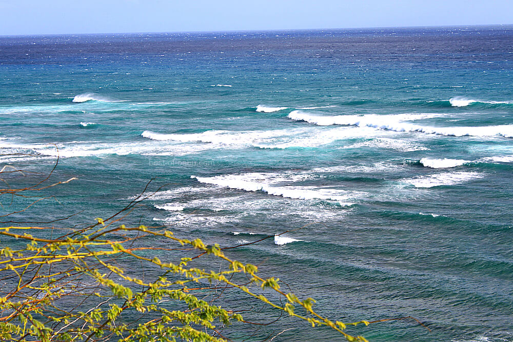 Diamond Head Beach Park Best Oahu Beaches Diamond Head Beach Surf