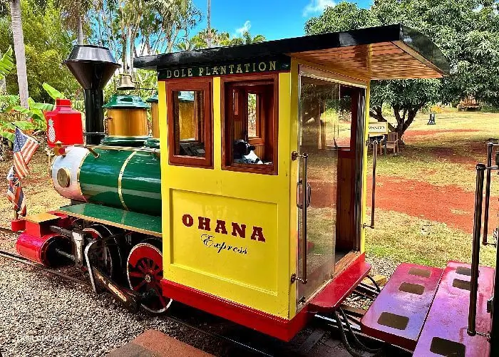 The Dole Plantation Train, also known as the Pineapple Express, takes visitors on a delightful and informative journey through the scenic pineapple fields, providing a unique opportunity to learn about the history and cultivation of pineapples in Hawaii.