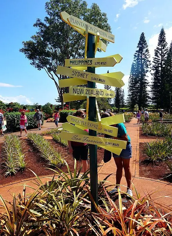 The Dole Plantation World Sign is a prominent landmark that greets visitors with a cheerful and iconic display of colorful flags representing countries from around the globe, symbolizing the international reach and influence of the Dole brand.