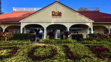 The Dole Plantation is a delightful destination offering a glimpse into the history and cultivation of pineapples in Hawaii, with fun attractions like the Pineapple Garden Maze and the famous Dole Whip ice cream. 🍍🌿