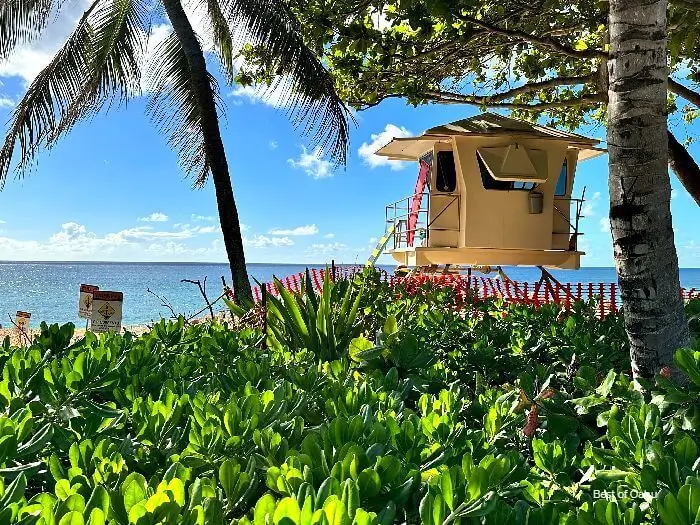 Ehukai Beach Park Lifeguard Stand. Picture taken form the parking lot through the palm trees.