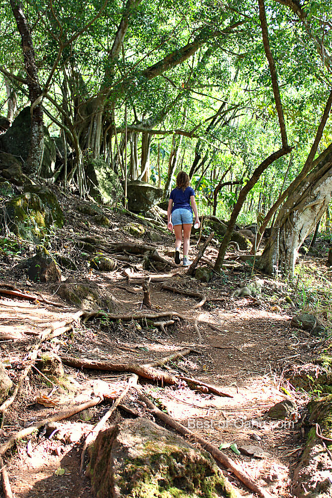 Ehukai Pillbox Hike