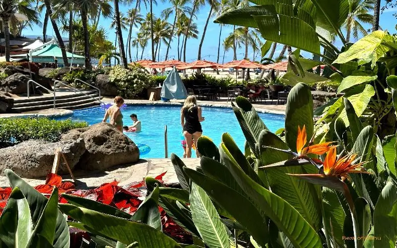 Hilton Hawaiian Village Pool Hilton Hawaiian Village Pool