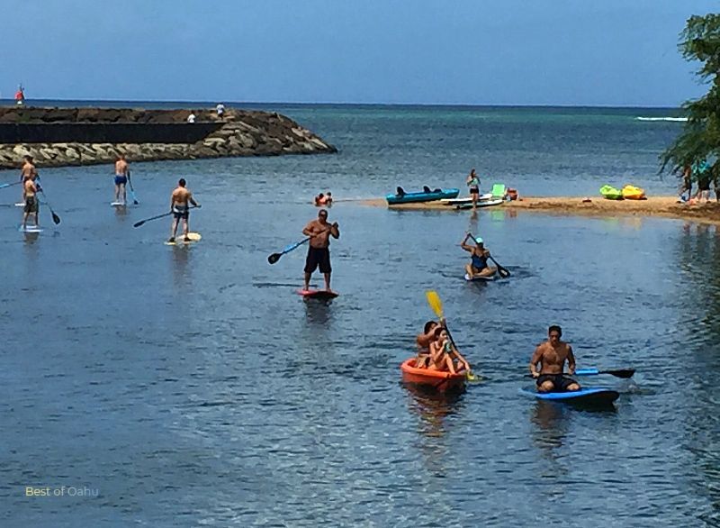 Haleiwa River Kayaks Haleiwa River Kayaks