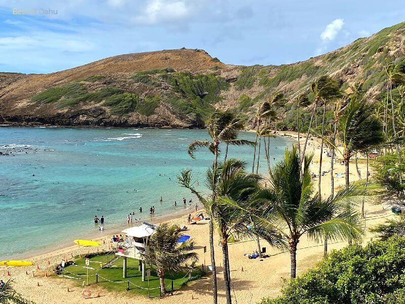 Hanauma Bay Beach Area Hanauma Bay Beach Area is a stunning nature preserve located on the southeastern side of Oahu, Hawaii, known for its calm waters, vibrant marine life, and excellent snorkeling opportunities. ๐ ๐๏ธ