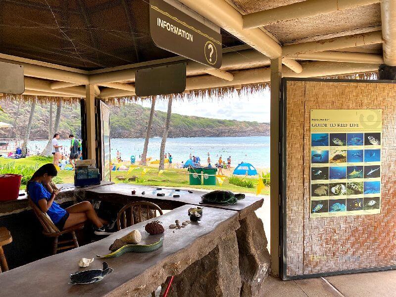 Hanauma Bay Rentals Hanauma Bay Rentals offer snorkeling gear and equipment for visitors to explore the vibrant marine life in the iconic Hanauma Bay Nature Preserve in Honolulu, Hawaii.