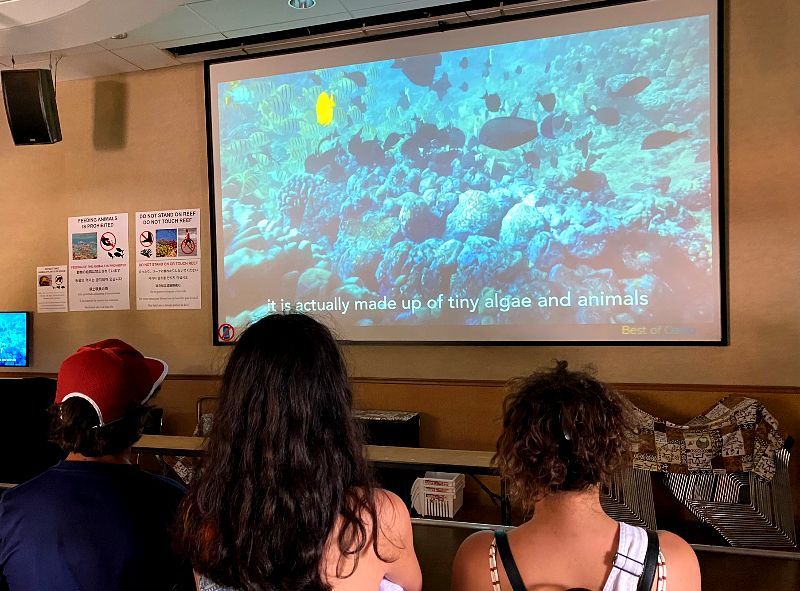 Hanauma Bay Orientation Video The Hanauma Bay Orientation Video provides essential information about marine life conservation and safety guidelines for visitors to enjoy the natural beauty of Hanauma Bay in Honolulu, Hawaii.