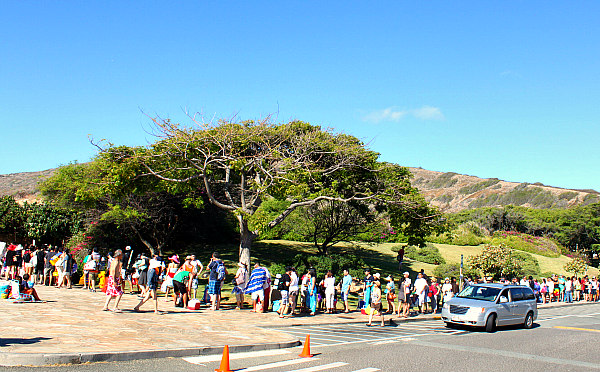 people waiting in line to get into Hanauma bay state park