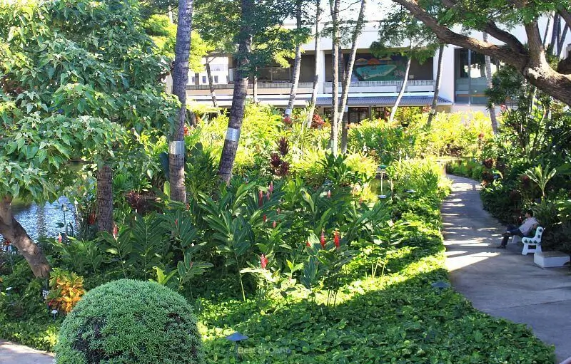 The Honolulu Airport Gardens feature lush greenery and tropical plants, providing a refreshing and serene atmosphere for travelers.