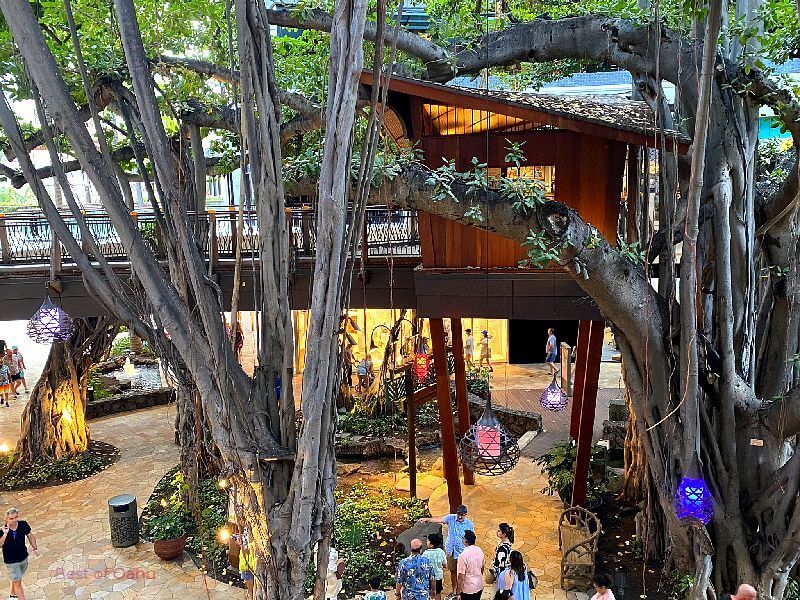 International Market Place Banyan Tree