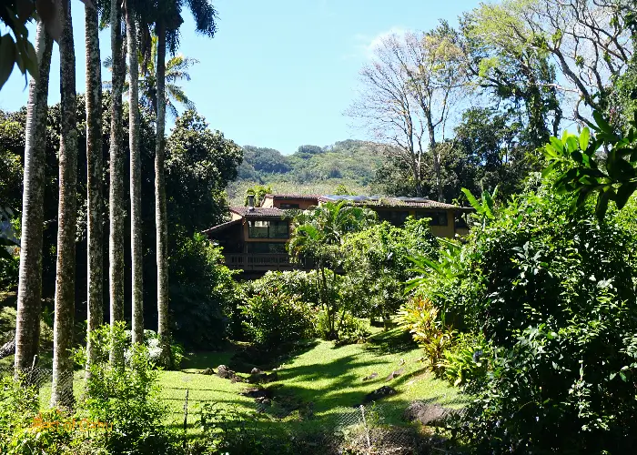 Jackass-Ginger-Pool-House