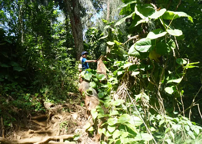 Jackass-Ginger-Pool-Rope