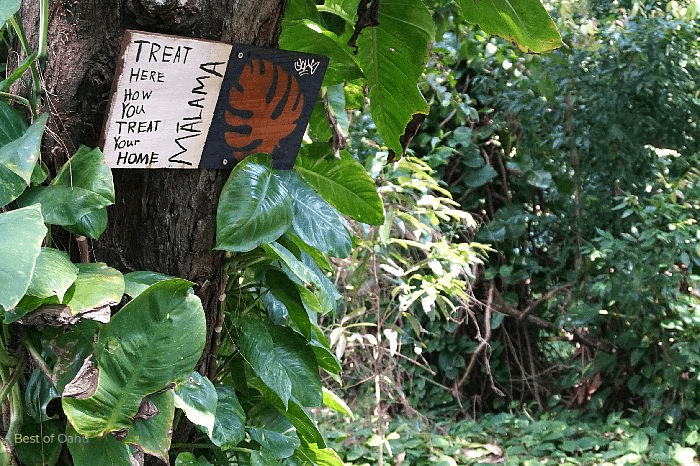 Jackass Ginger Pool Sign