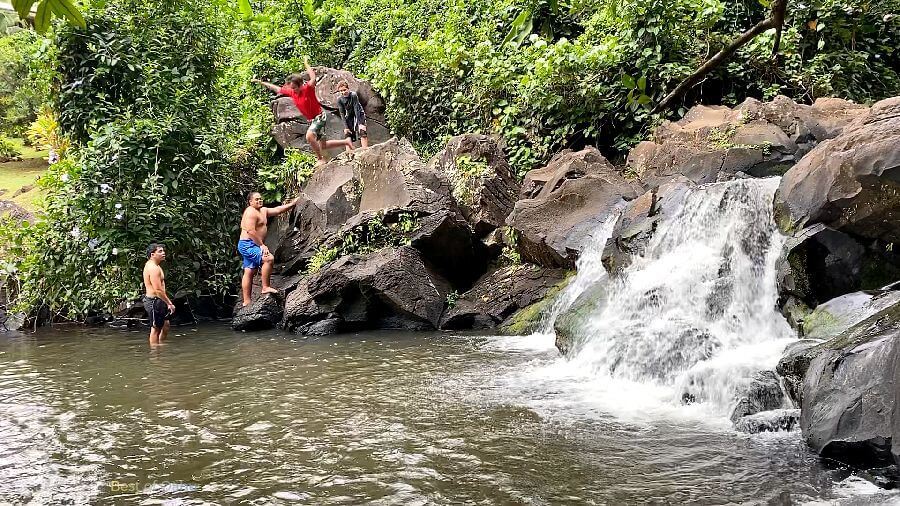 Jackass Ginger Pool Water Leap