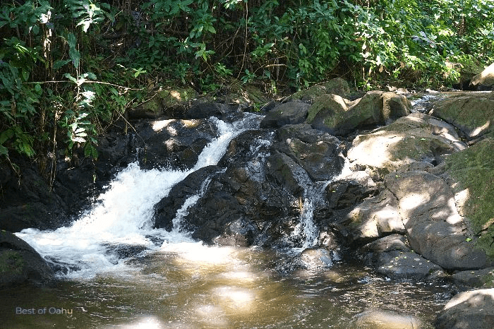 The Judd Trail small waterfall is a charming and refreshing feature along the trail, offering hikers a picturesque spot to relax and enjoy the soothing sounds of cascading water.