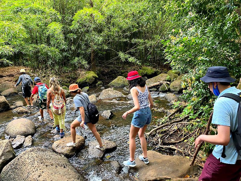 The Judd Trail Stream Crossing Area is a picturesque and tranquil section of the hike, where hikers can pause to admire the crystal-clear stream, lush vegetation, and the soothing sound of flowing water.