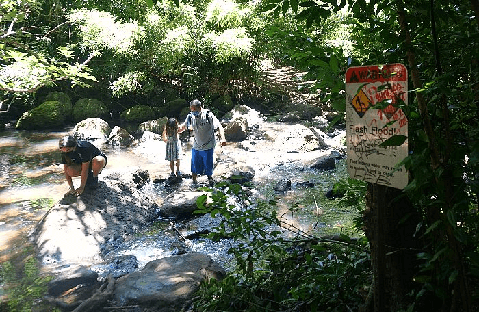 The Judd Trail Stream Crossing is a scenic and adventurous part of the hike, where hikers navigate across a flowing stream using rocks or a small bridge, adding an element of excitement and natural beauty to the trail.