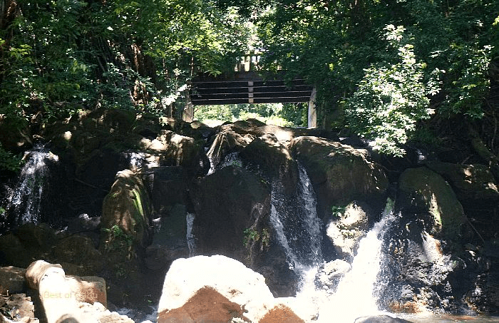 The Judd Trail Waterfall is a picturesque and serene natural feature along the Judd Trail hike in Honolulu, offering a refreshing and enchanting sight for hikers to enjoy.