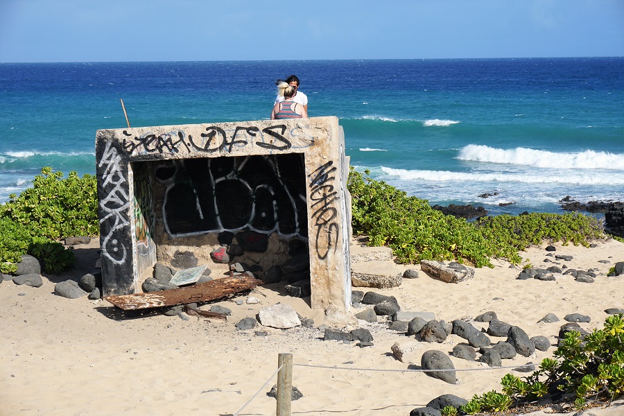 Kaena Point Beach Kaena Point Beach is a picturesque and remote stretch of coastline on the northwest corner of Oahu, Hawaii, known for its pristine sandy shores, turquoise waters, and breathtaking views of the Pacific Ocean. 🌊🏖️
