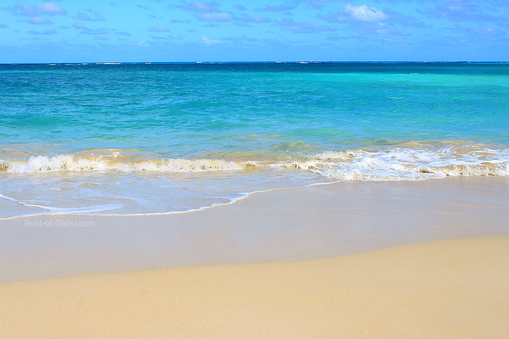 does kailua beach allow dogs