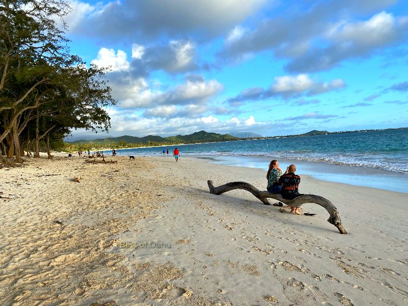 does kailua beach allow dogs