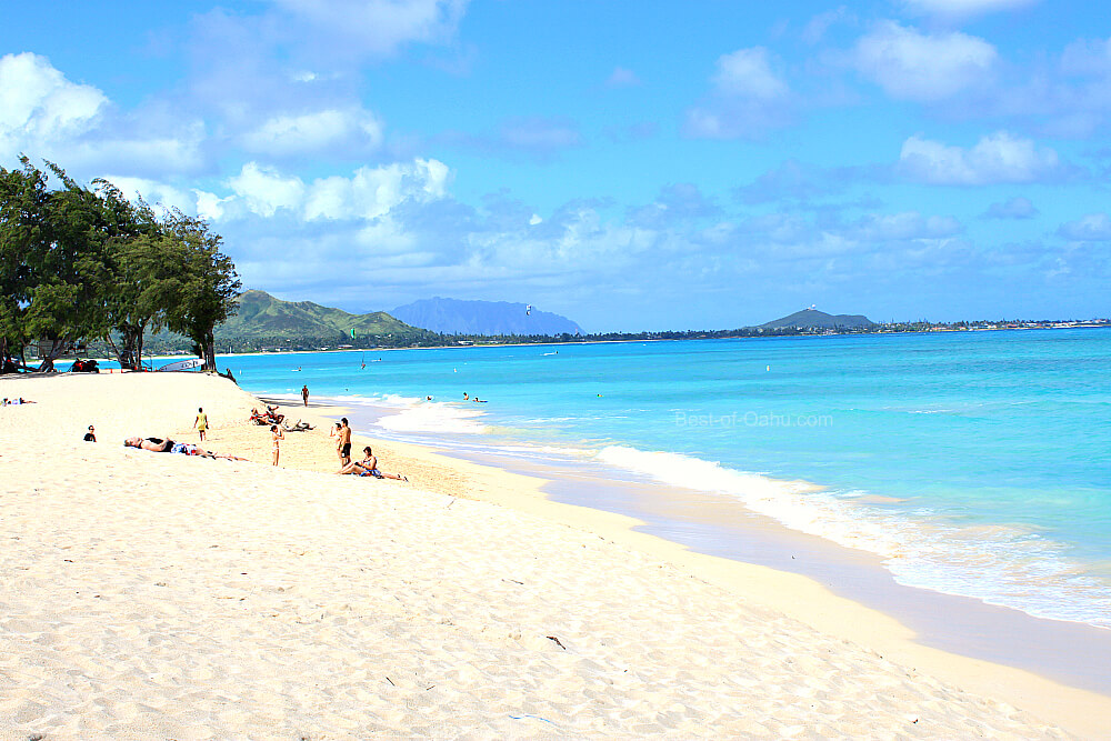 does kailua beach allow dogs