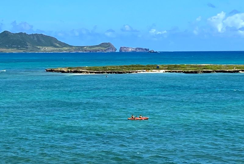 does kailua beach allow dogs