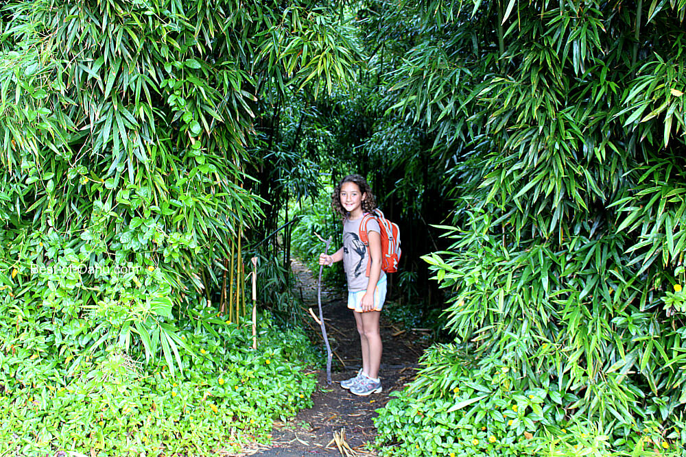 The entrance to the Kaniakapupu Ruins is a serene and scenic path that leads visitors through a lush forest, immersing them in the natural beauty of the surroundings before reaching the captivating remains of the historic site. 🌳🏰