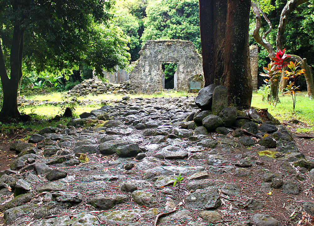 Kaniakapupu Path