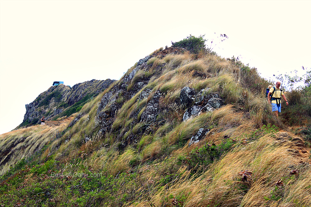 Lanikai Pillbox Trail Lanikai Pillbox Trail