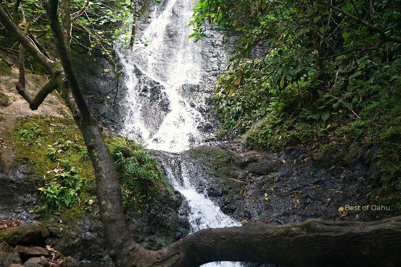 Likeke Falls Oahu Waterfalls