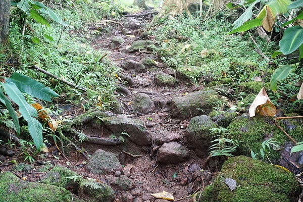 Likeke Falls Trail Likeke Falls Trail