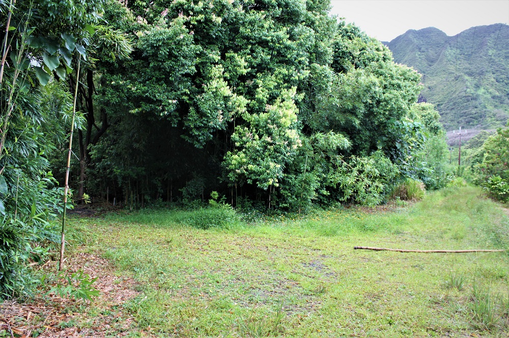Lulumahu Falls Path Lulumahu Falls Path
