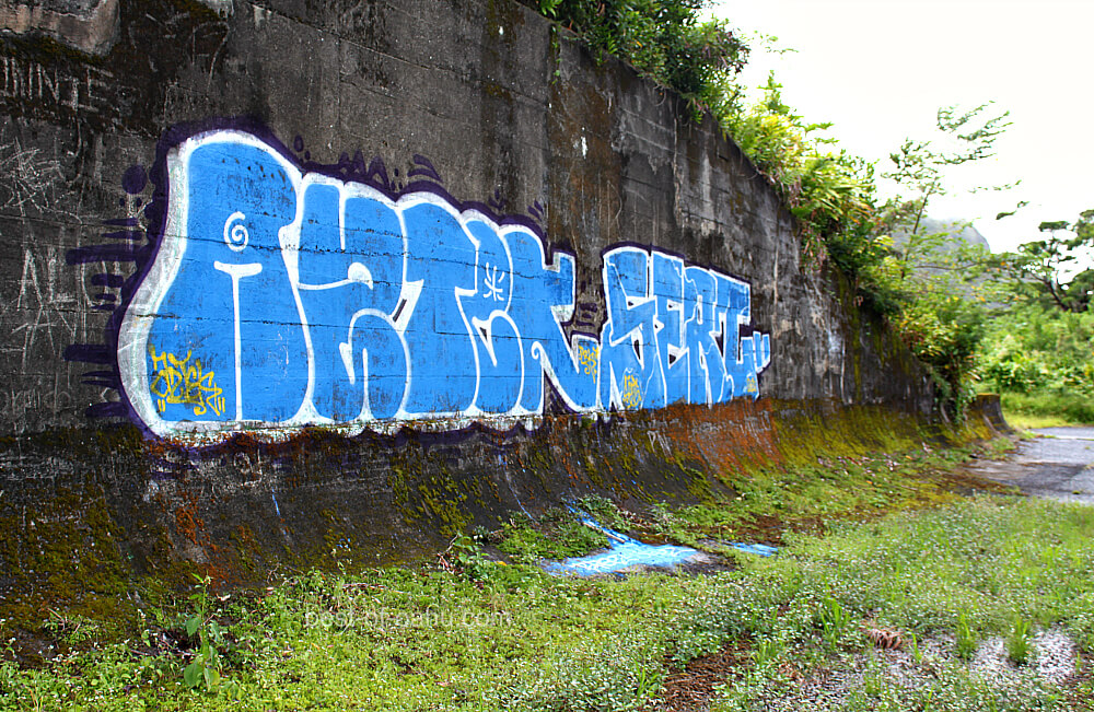 Lulumahu Falls Hiking Path Lulumahu Falls Hiking Path