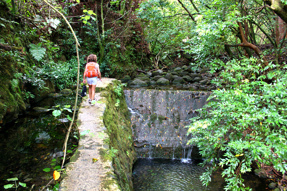 Lulumahu Falls Hiking Path