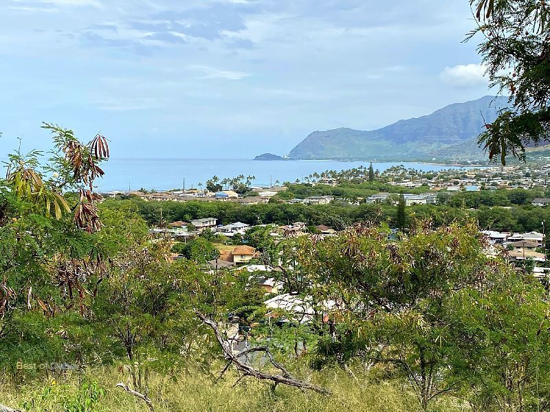Maili Pillbox Hiking Trail