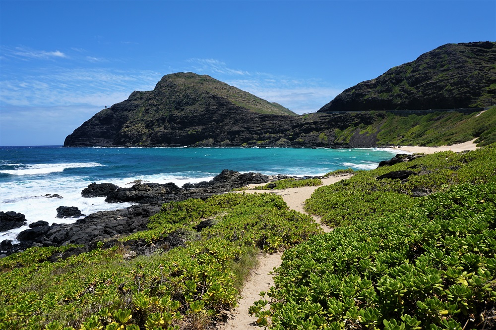 Makapuu Beach - Best of Oahu Gem!