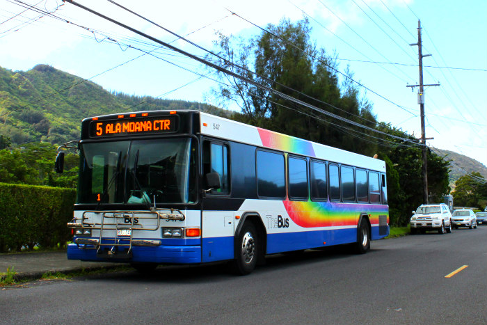Manoa Falls Bus
