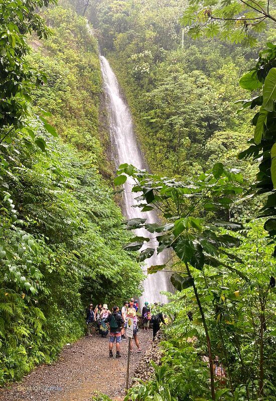 Waterfalls Worth Hiking For
