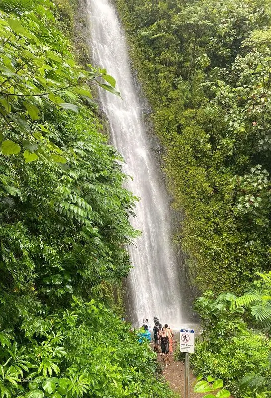Manoa Falls in Oahu, Hawaii is a beautiful 100-foot waterfall nestled in the lush Manoa Valley, surrounded by a tropical rainforest and has been featured in movies and TV shows like Jurassic Park and Lost. 🌿🌺💦