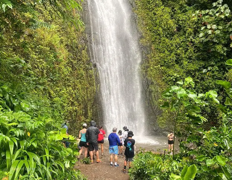 Manoa Falls