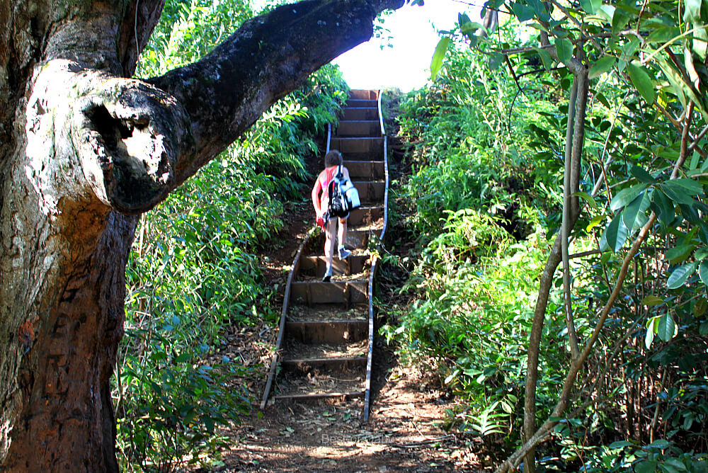 Maunawili Falls Stairs
